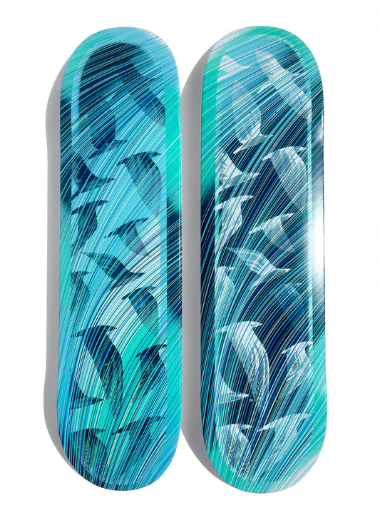 KAI & SUNNY x ELEMENT SKATEBOARDS - SET 2024