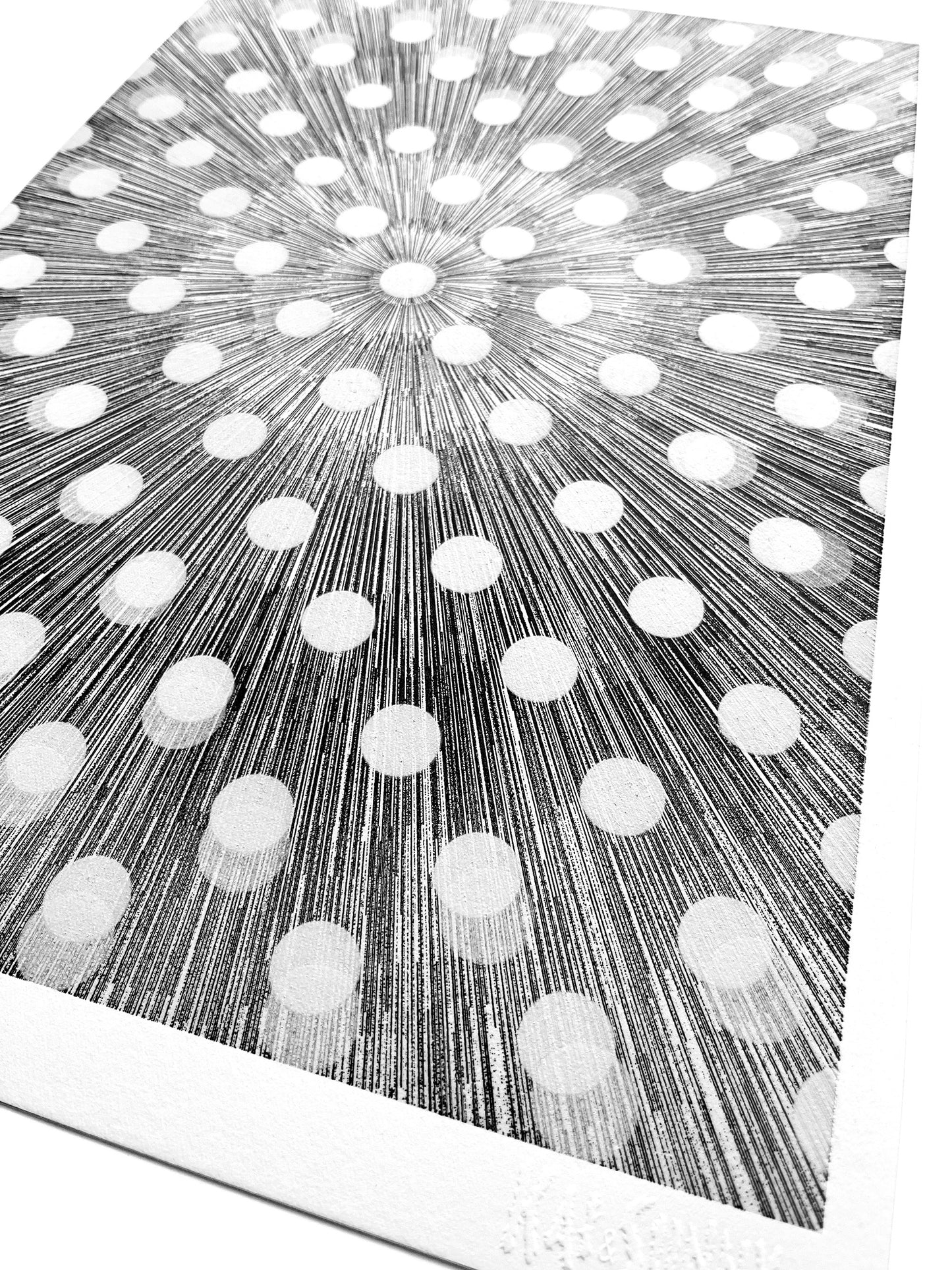 01. Fractured Frequency - Limited Edition