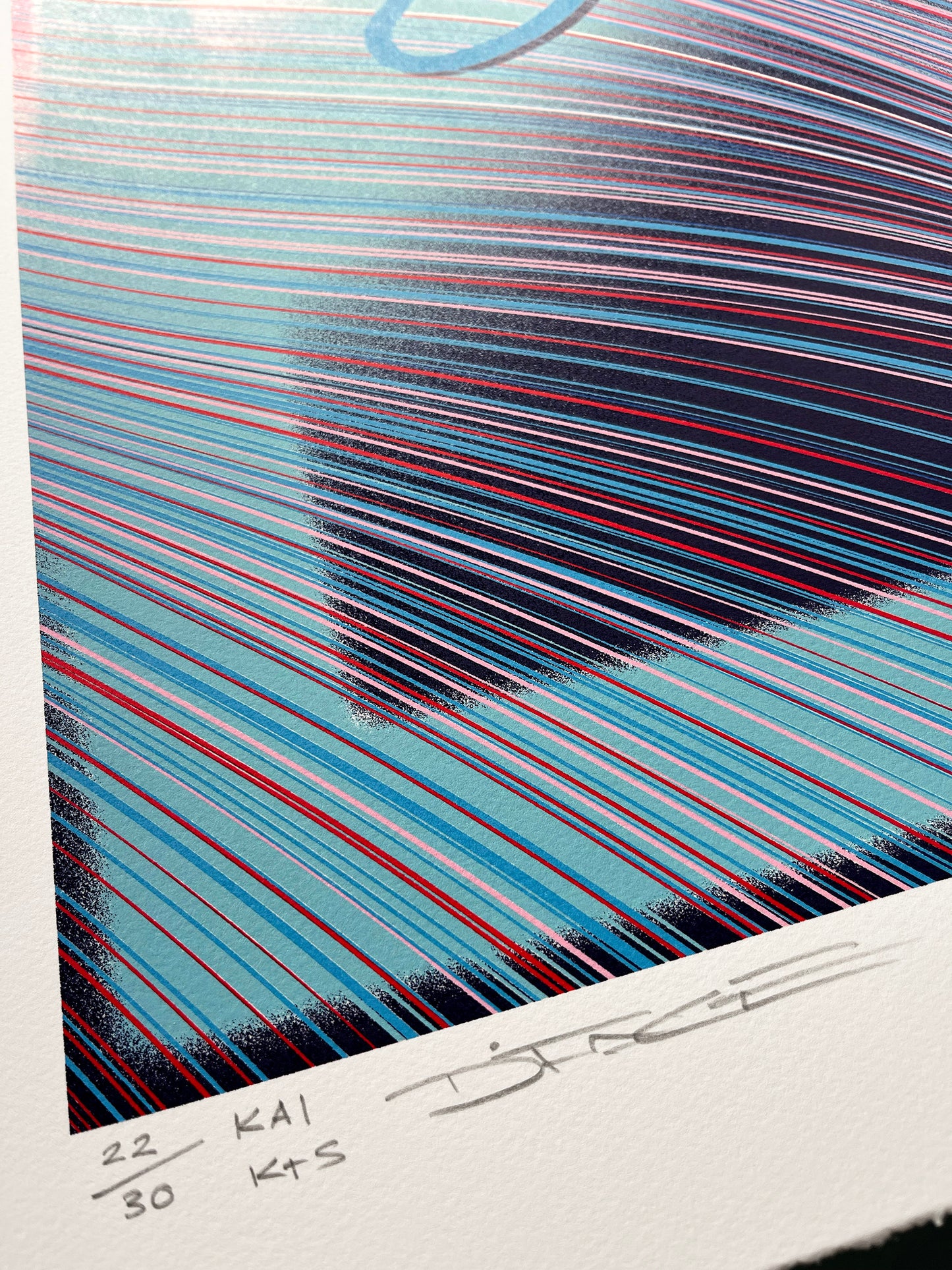 .HUMAN - NATURE - ARTIST PROOF