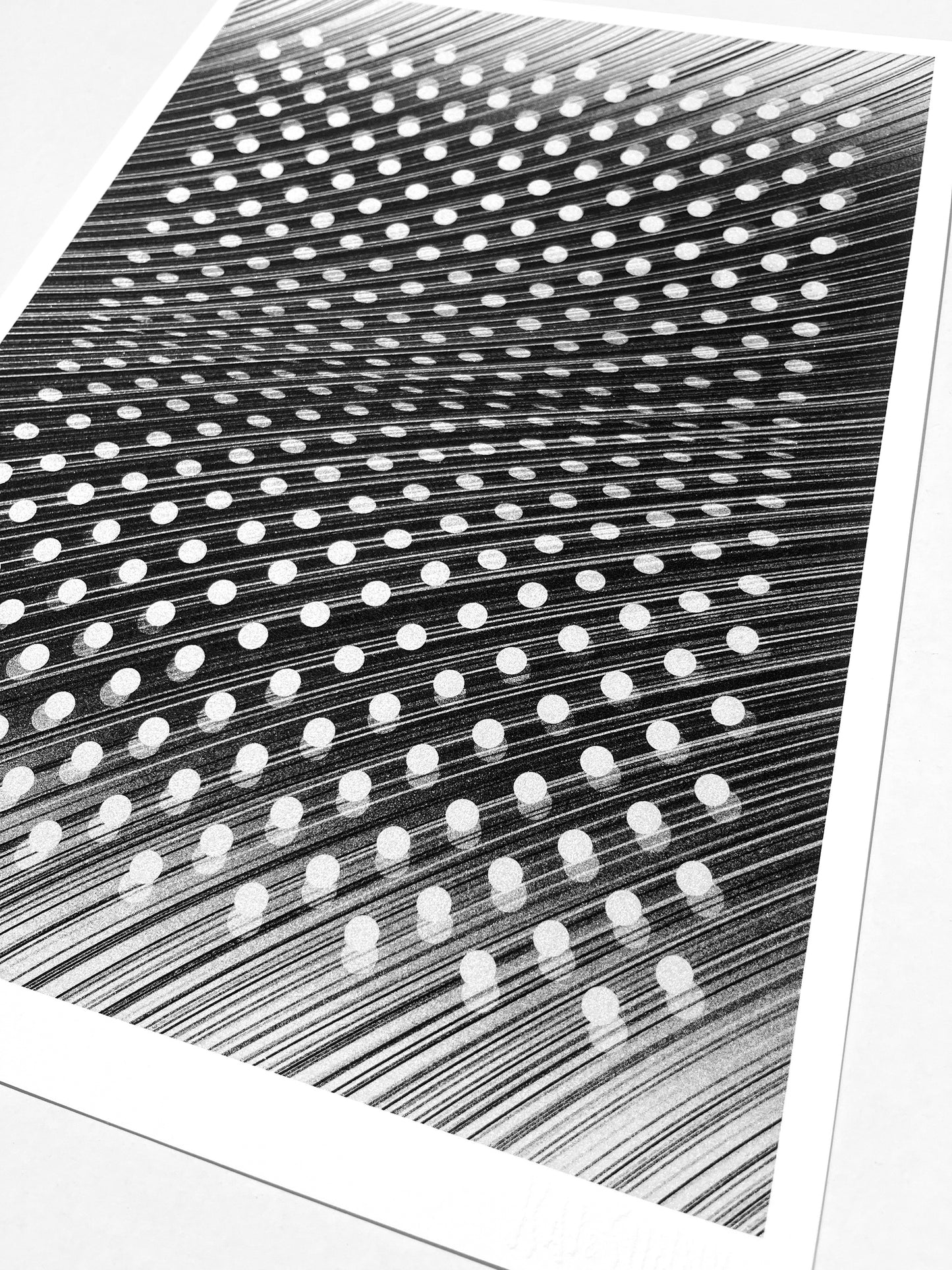 01. PASSING FREQUENCY - LIMITED EDITION
