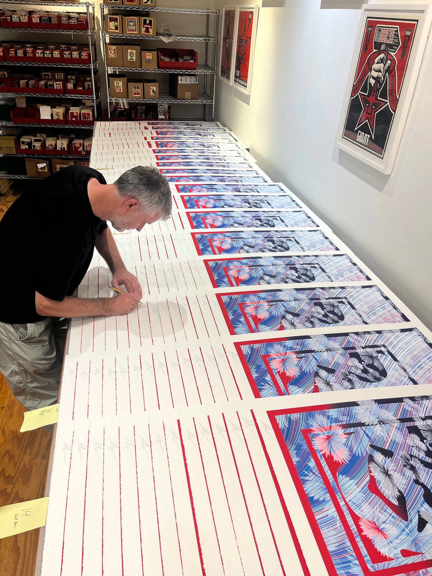 Kai & Sunny X Shepard Fairey - WILD OBEY - 2024 - Printers Proof
